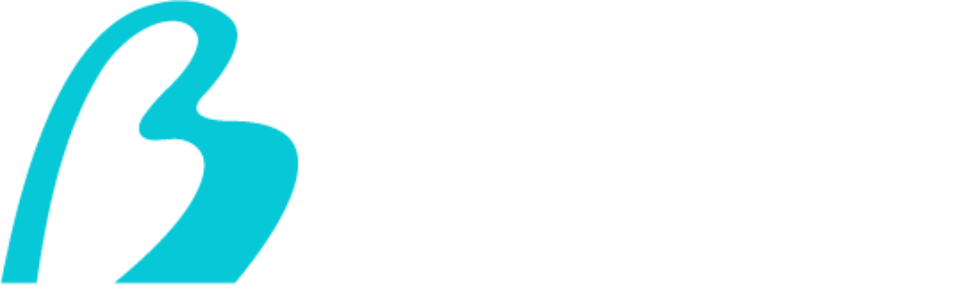 greater_brazos_partnership_logo_light_1